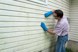 Affordable Siding Repair and Maintenance Services in Crete, NE